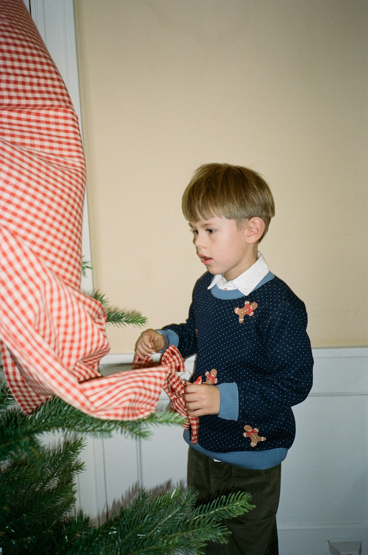 Holger Sweater - Navy Gingerbread