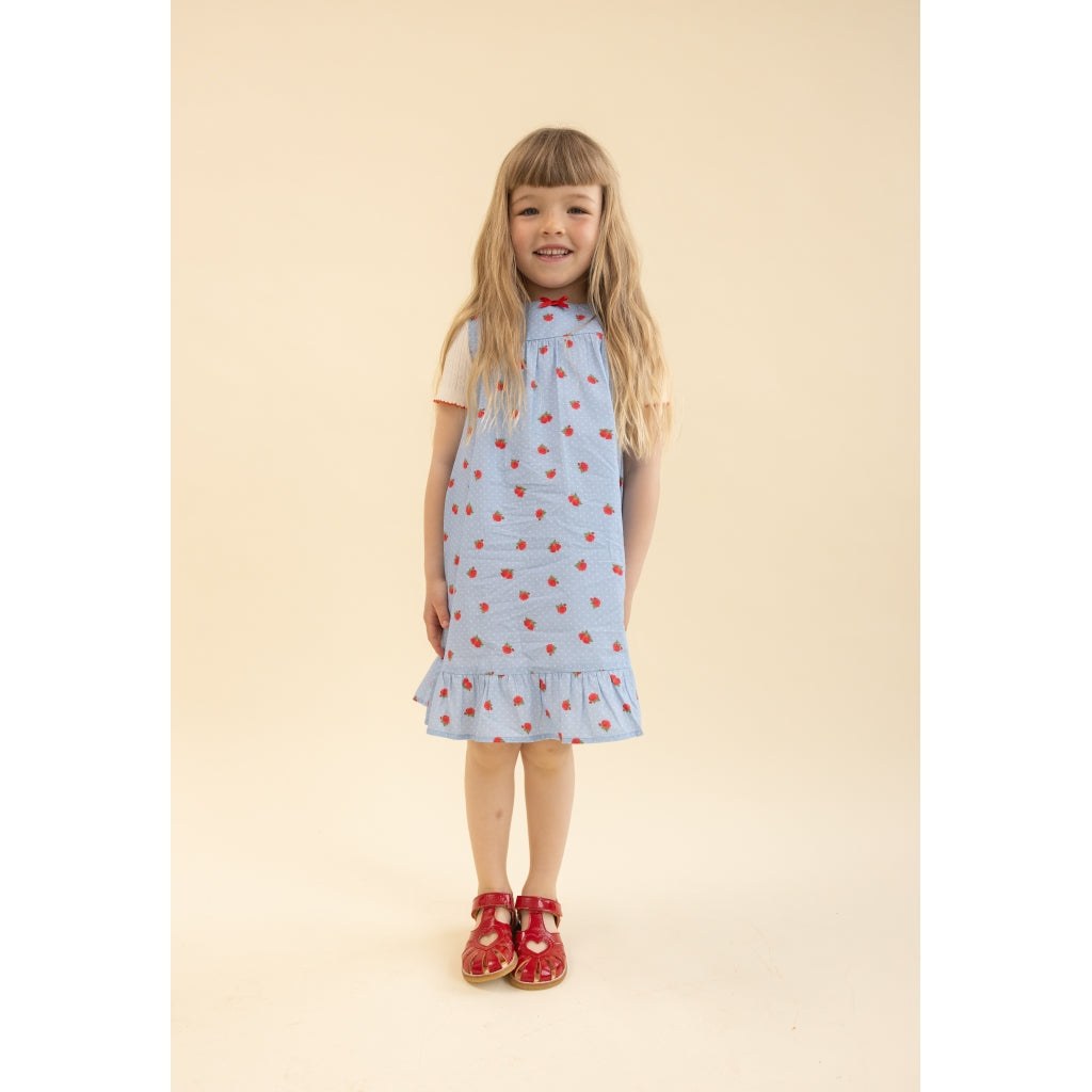 Flöss Aps Fiona SL Dress Dress Blue Sky Rose