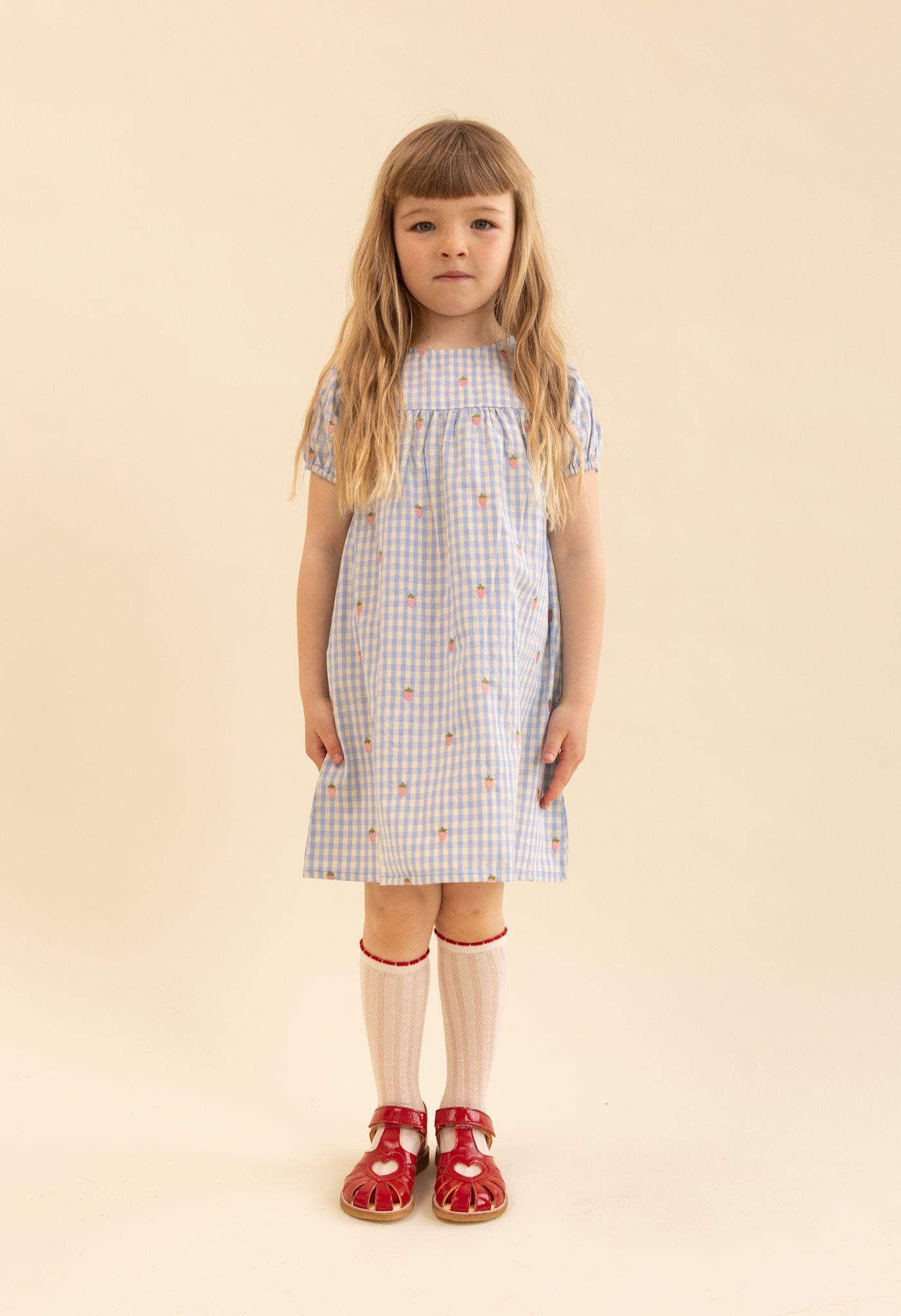 Mille SS Dress - Sky Berry Gingham