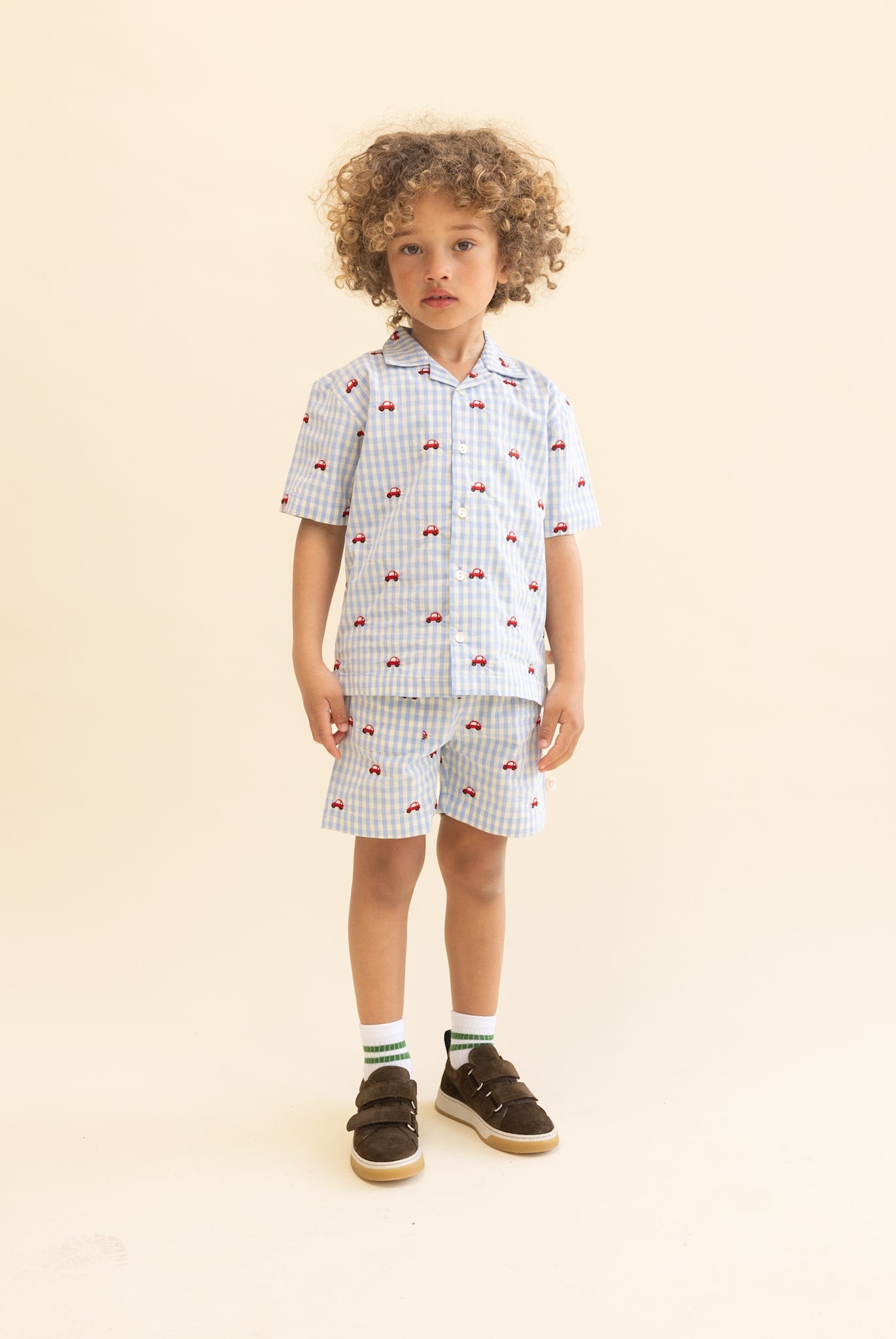 Albert Shorts - Blue Gingham