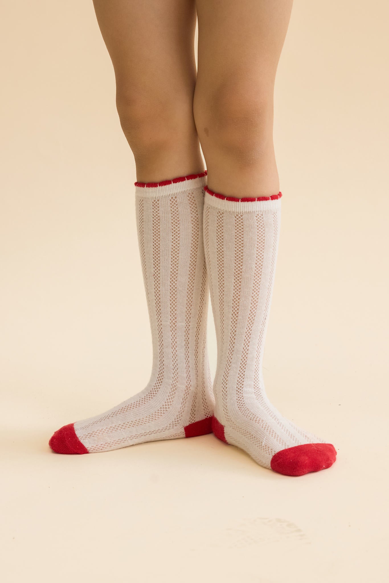 Vanda Socks 2 pack - Berry Pointelle 2-pack