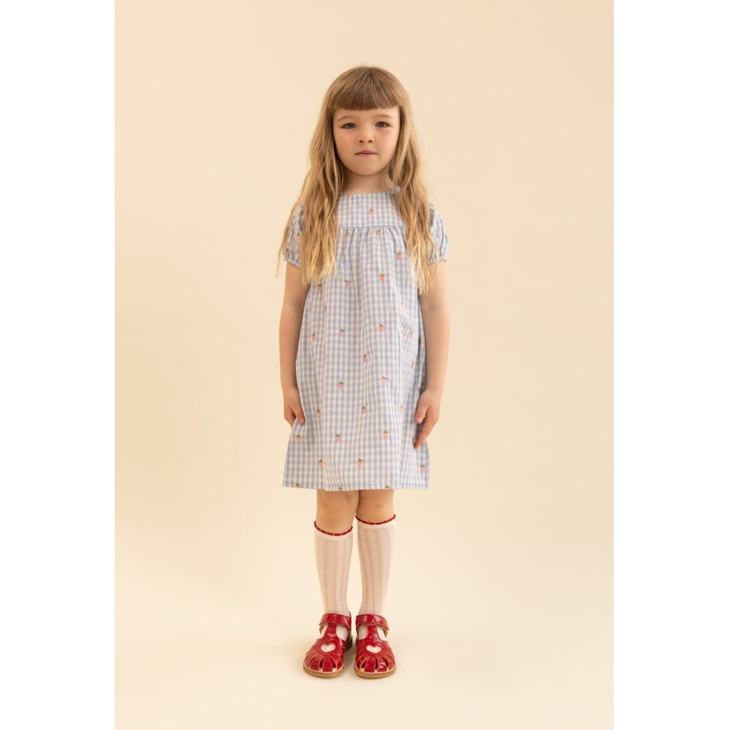 Flöss Aps Mille SS Dress Dress Sky Berry Gingham