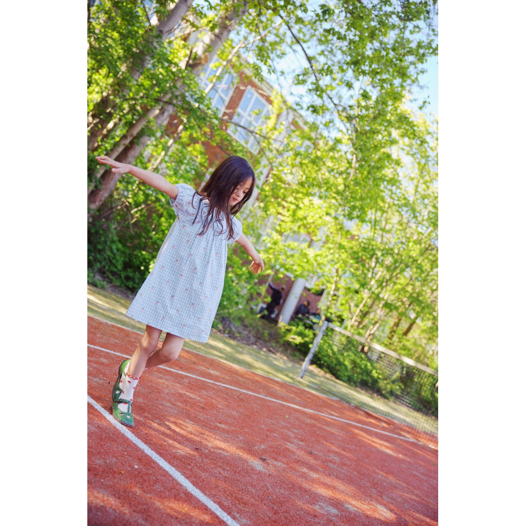 Flöss Aps Mille SS Dress Dress Sky Berry Gingham