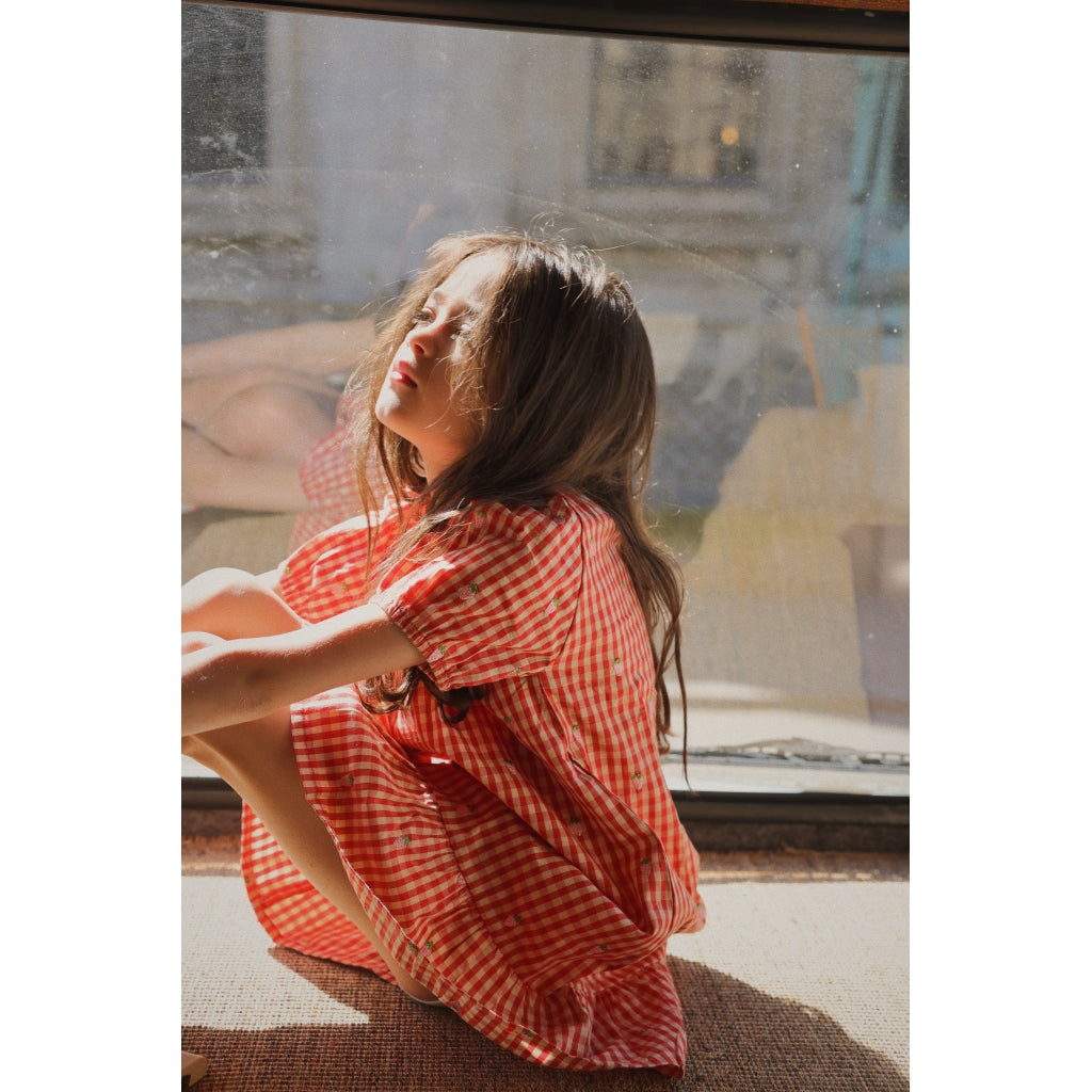 Flöss Aps Molly Pineberry Dress Dress Red-pink Berry Gingham