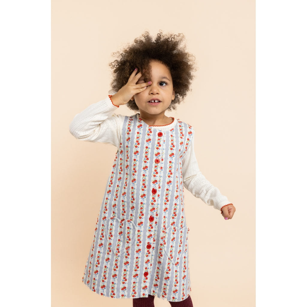 Aria Dress - Blue Air Rose