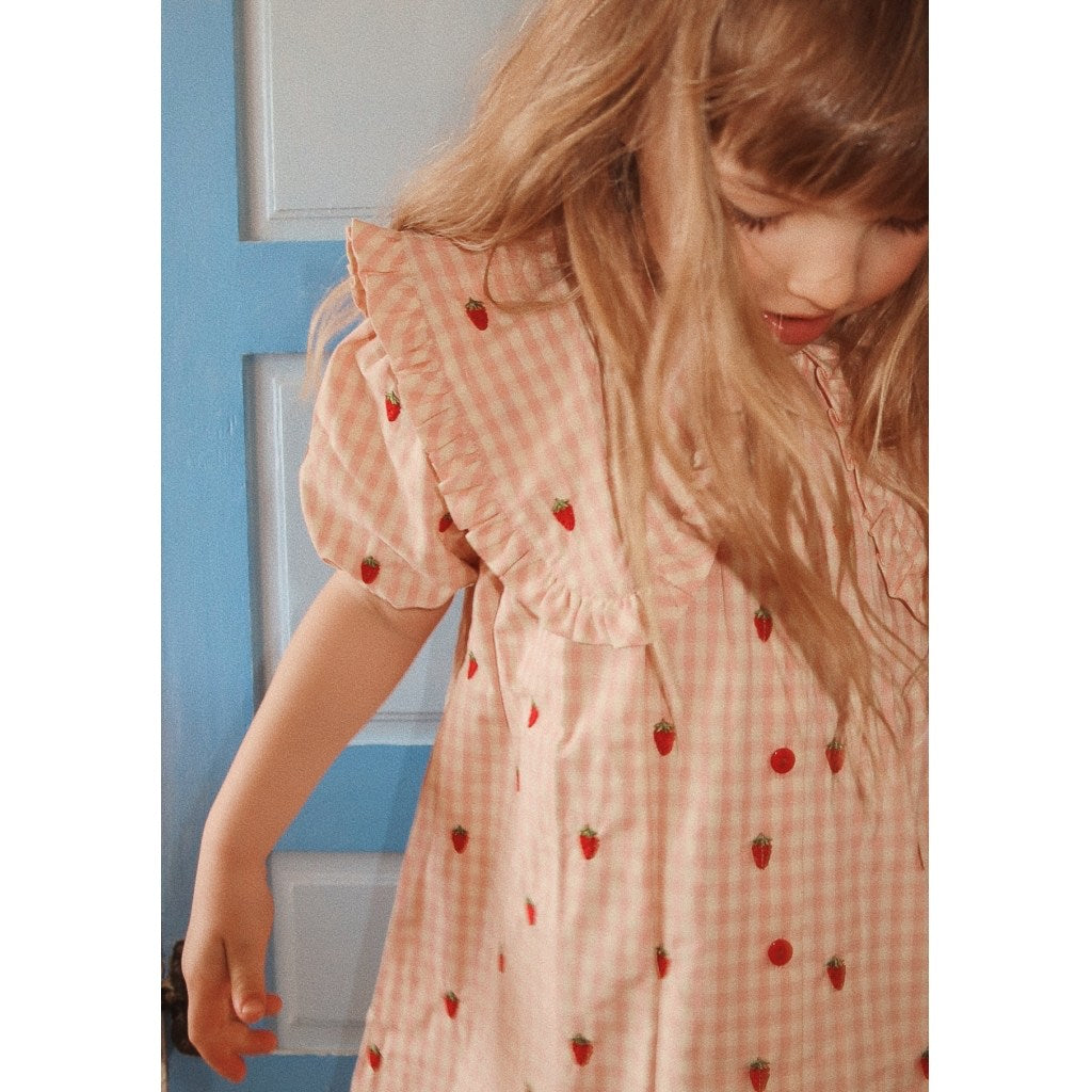 Dolly SS Dress - Pink Berry Gingham