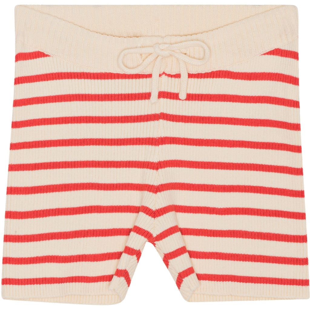 Flye Shorts - Berry