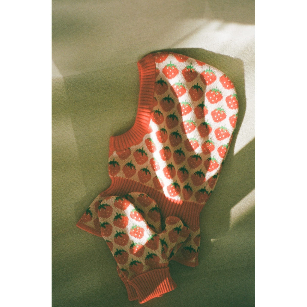 Line Mittens - Blossom Pink Berry