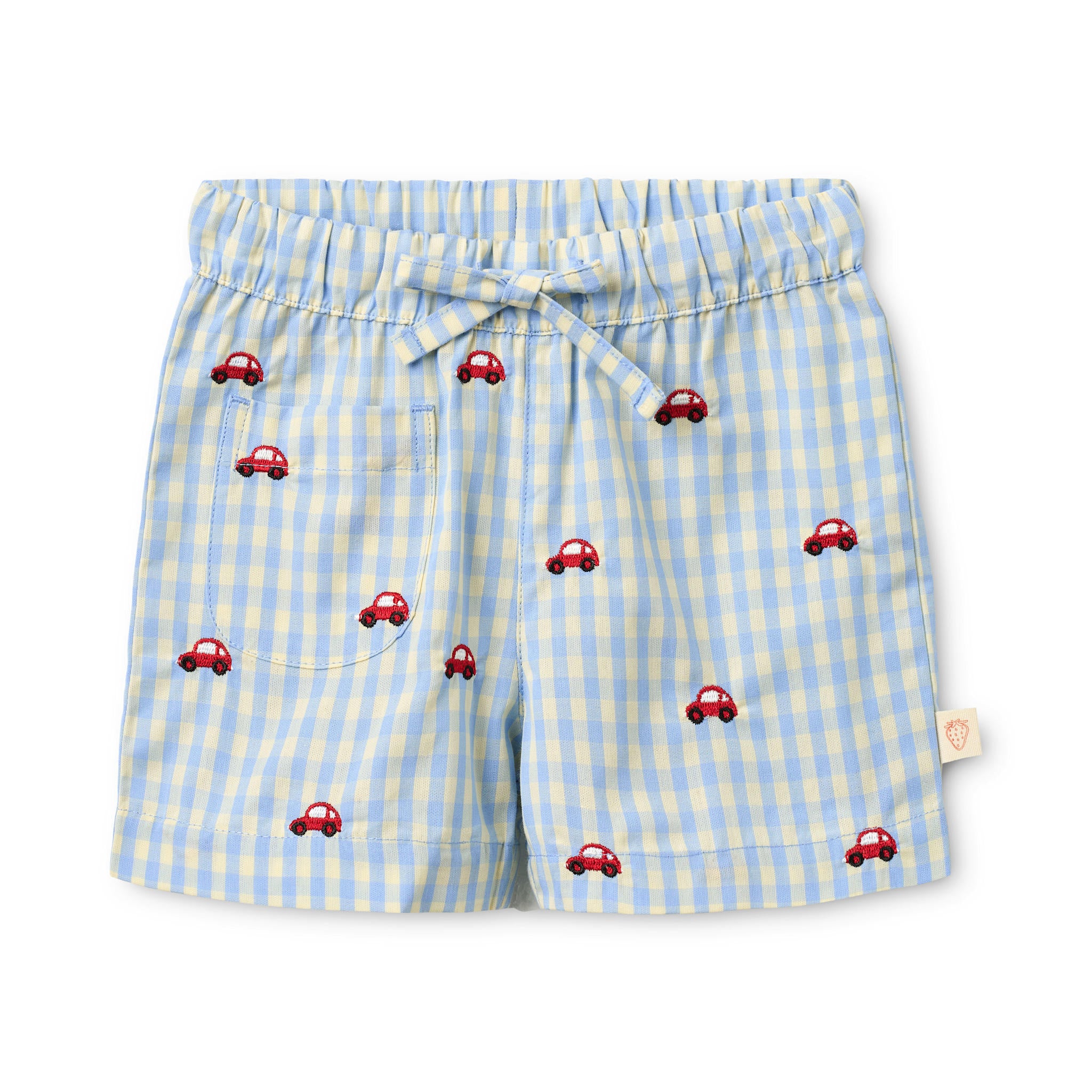 Albert Shorts - Blue Gingham