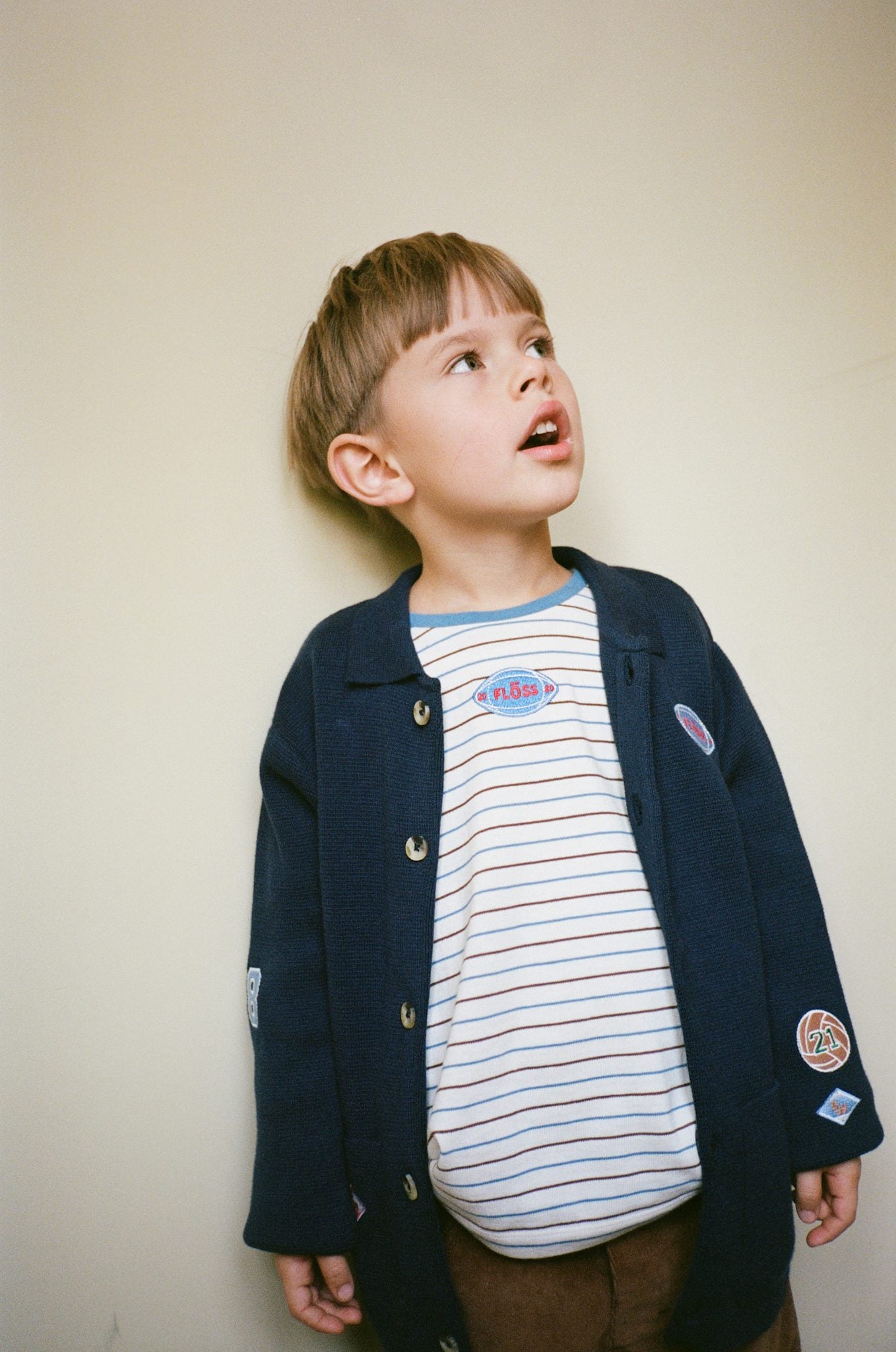 Emil Blouse - Brown-Blue Stripe