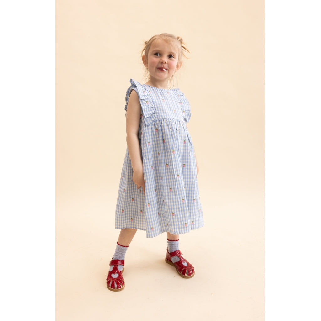 Flöss Aps Mille SL Dress Dress Sky Berry Gingham