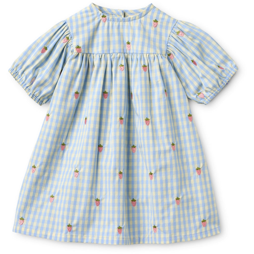Flöss Aps Mille SS Dress Dress Sky Berry Gingham
