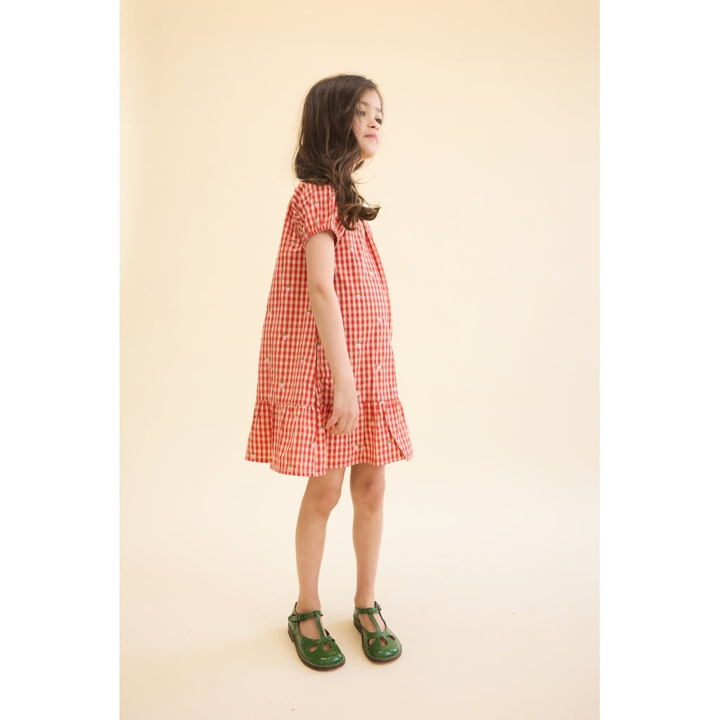 Flöss Aps Molly Pineberry Dress Dress Red-pink Berry Gingham