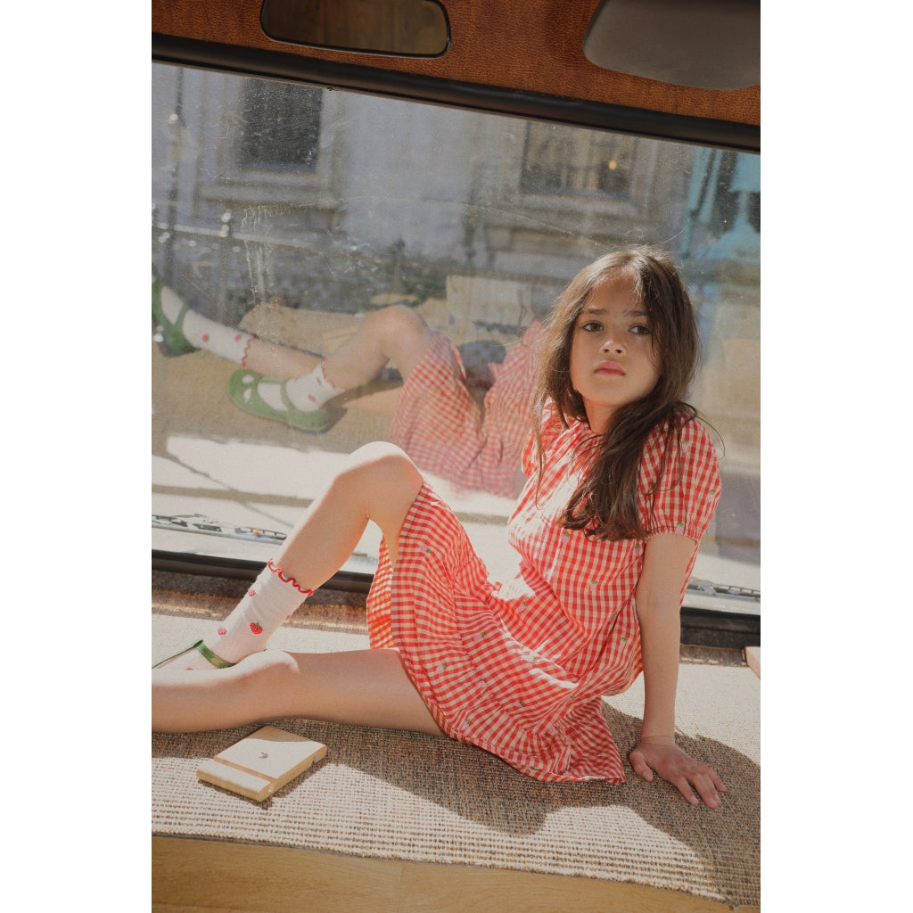 Flöss Aps Molly Pineberry Dress Dress Red-pink Berry Gingham