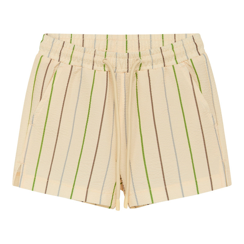 Bertil Swim shorts - Multi Stripe