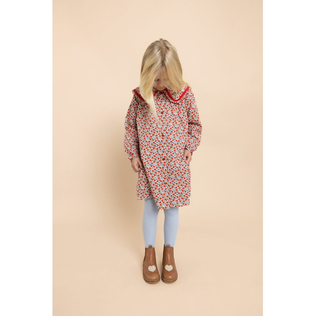 Ruby Dress - Ditsy Rose