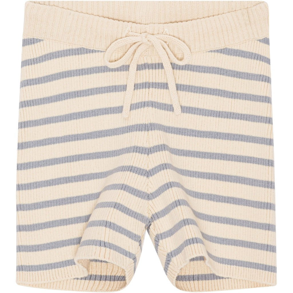 Flye Shorts - Misty blue