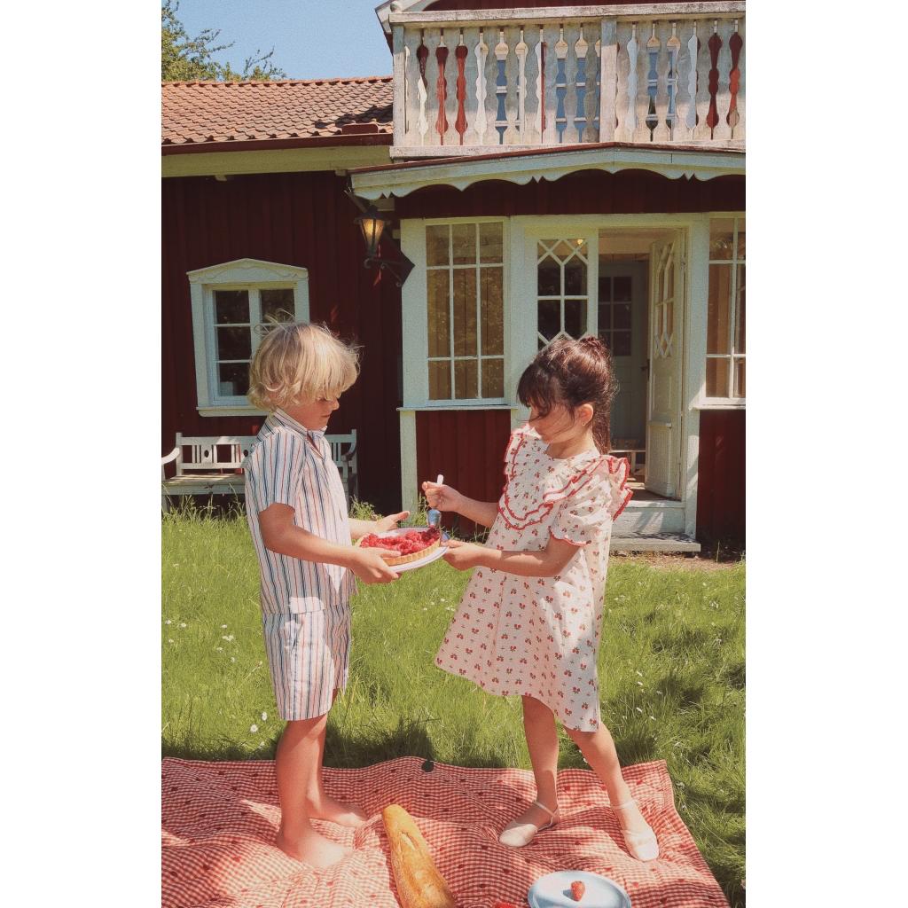 Miles Shorts - Red/Blue stripes
