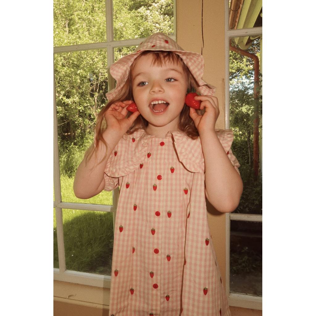 Dolly SS Dress - Pink Berry Gingham