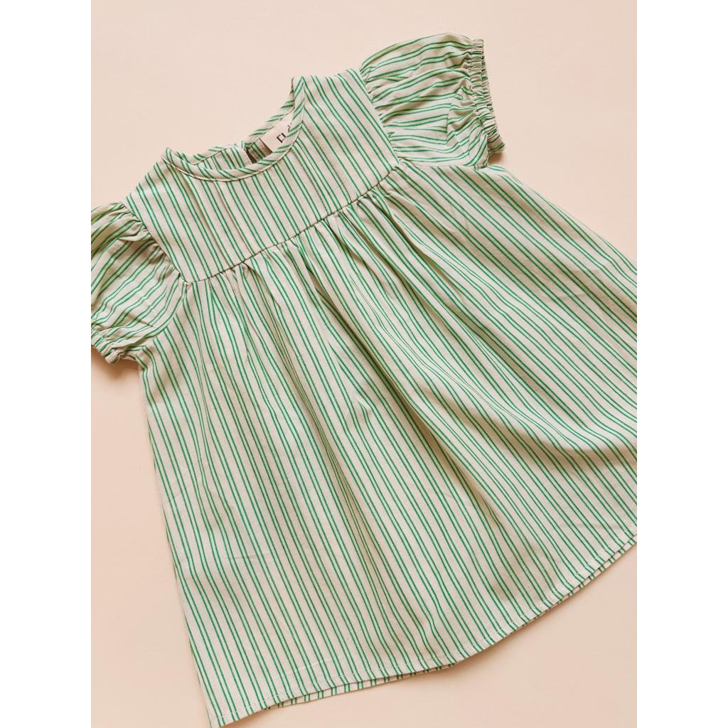 James SS Dress - Green/Cloud